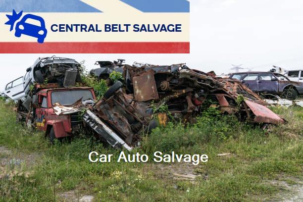 Car Auto Salvage