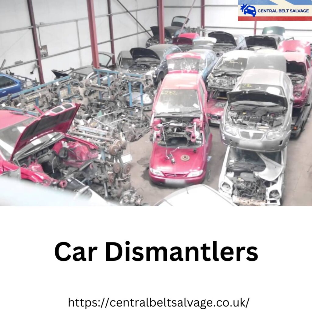 Car dismantlers central belt